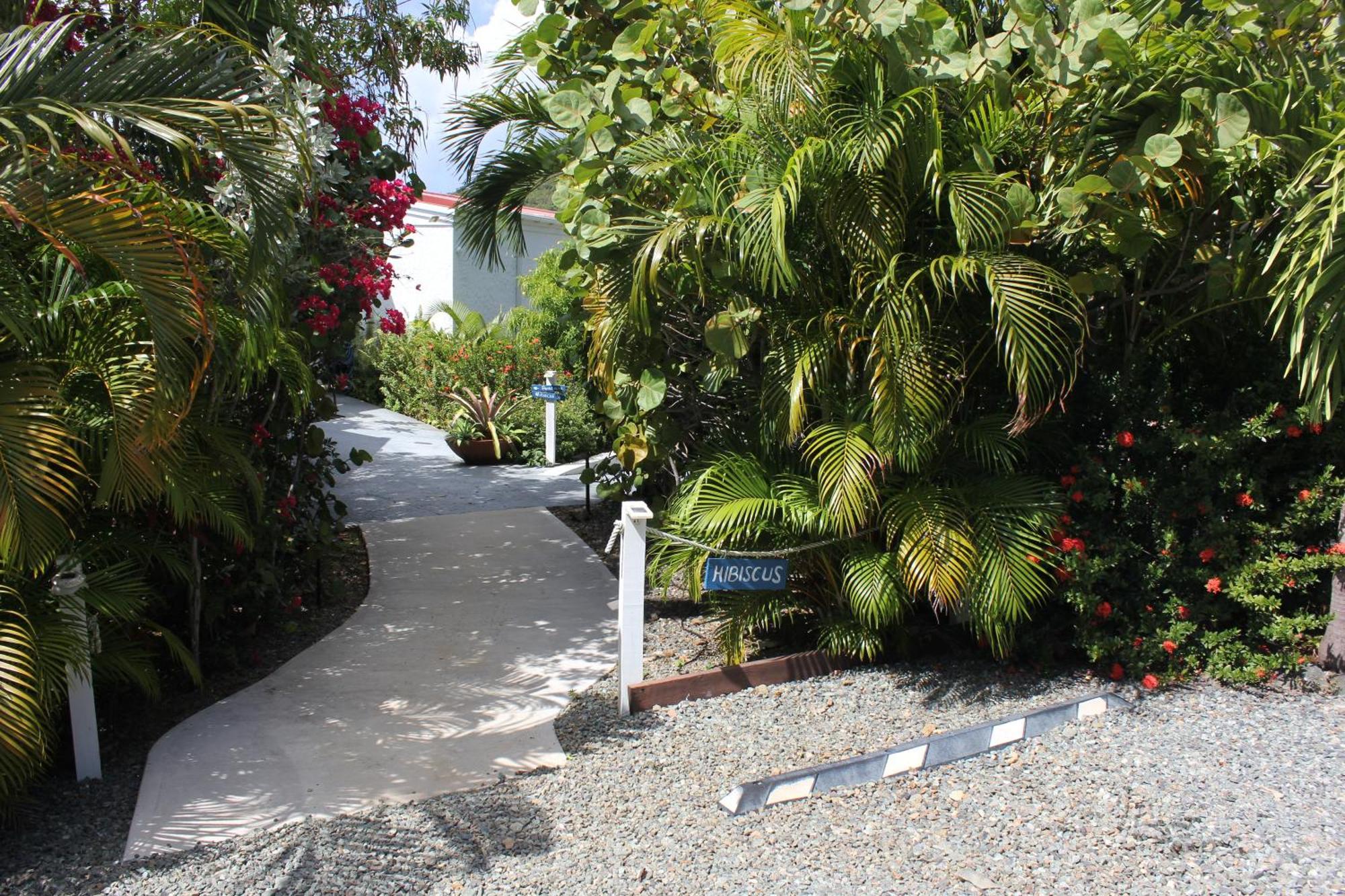 Hibiscus Suite At Sunset Serenade Cruz Bay Exterior photo